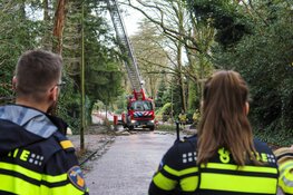 Boom dreigt om te vallen in Blaricum, brandweer ter plaatse