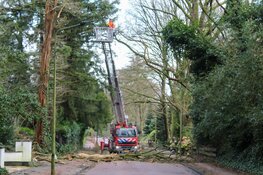 Boom dreigt om te vallen in Blaricum, brandweer ter plaatse