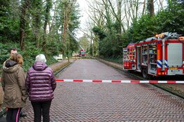 Boom dreigt om te vallen in Blaricum, brandweer ter plaatse