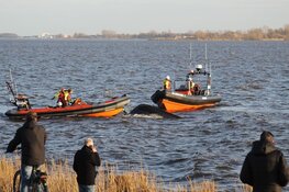 Zoekactie bij haven Almere, omgeslagen boot aangetroffen