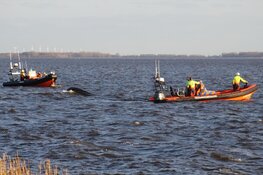 Zoekactie bij haven Almere, omgeslagen boot aangetroffen