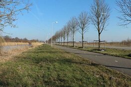 Tunnel onder de Maxisweg vergroot overlevingskansen otter en bever