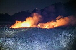 Brand op Bussumerheide onder controle