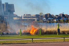 Riet in brand in Blaricum, vermoedelijk aangestoken