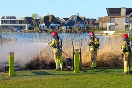 Riet in brand in Blaricum, vermoedelijk aangestoken