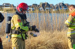 Riet in brand in Blaricum, vermoedelijk aangestoken