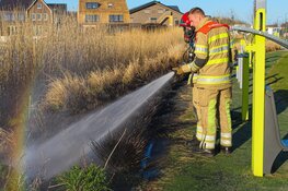 Riet in brand in Blaricum, vermoedelijk aangestoken