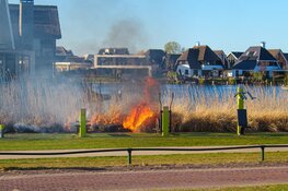 Riet in brand in Blaricum, vermoedelijk aangestoken