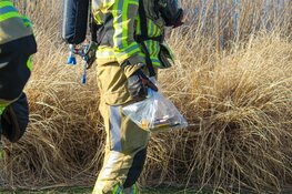 Riet in brand in Blaricum, vermoedelijk aangestoken