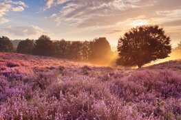 5 x leukste to-do&#39;s in Hilversum