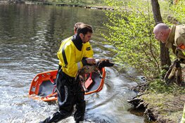 Hondje komt na zwemtochtje vast op eiland in Blaricum