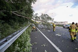 Boom omgevallen op A1 bij Naarden