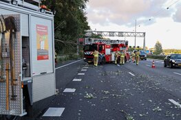 Boom omgevallen op A1 bij Naarden