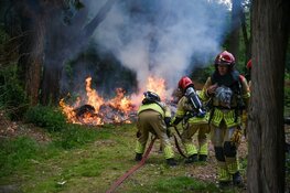 Brandend tuinafval zorgt voor flinke rookontwikkeling