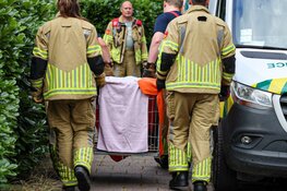 Gewonde vos gered in achtertuin van woning in Naarden