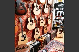 Taylor akoestische gitaren bij Gooise-Gitaren.nl in Bussum