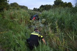 Auto belandt in het riet in Nederhorst den Berg