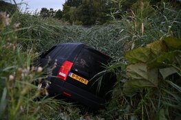 Auto belandt in het riet in Nederhorst den Berg
