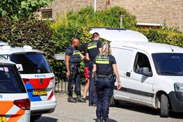 Trieste gebeurtenis bij dierenarts Hilversum: hond komt voor euthanasie, maar valt assistent aan