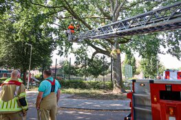 Brandweer Bussum verwijdert grote tak boven voetbalveld