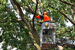 Brandweer Bussum verwijdert grote tak boven voetbalveld