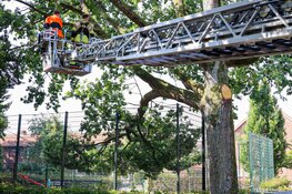 Brandweer Bussum verwijdert grote tak boven voetbalveld