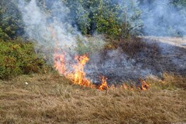 Kinderen steken 200 vierkante meter gras en heide in brand in Huizen