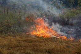 Kinderen steken 200 vierkante meter gras en heide in brand in Huizen