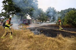 Kinderen steken 200 vierkante meter gras en heide in brand in Huizen