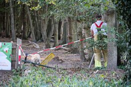 Paard slaat op hol,ruiter en paard gewond in Blaricum