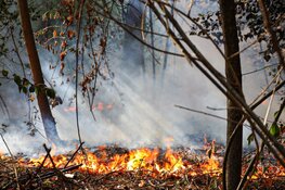 Buitenbrand in bos bij Huizen