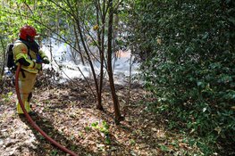 Buitenbrand in bos bij Huizen