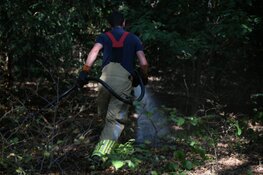 Kleine bosbrand in Hilversum