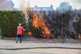 Heg in brand in Huizen