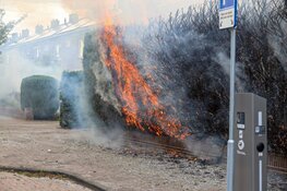 Heg in brand in Huizen