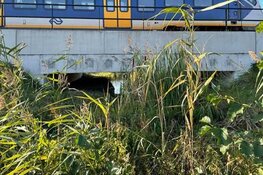 Faunapassages bij het Naardermeer volop in gebruik