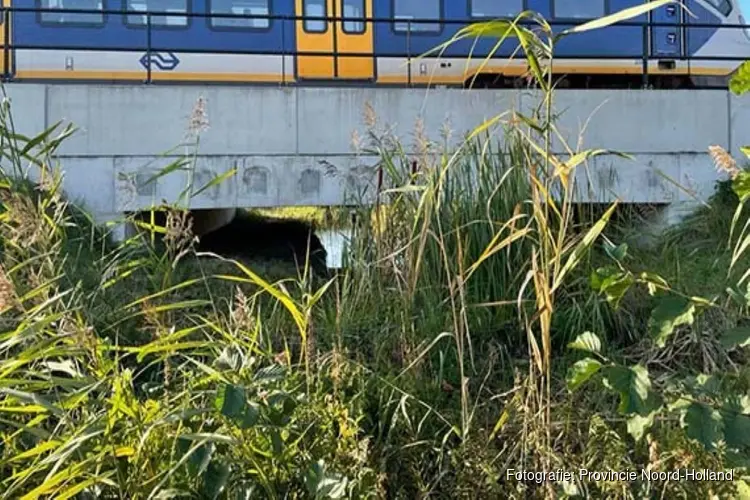 Faunapassages bij het Naardermeer volop in gebruik
