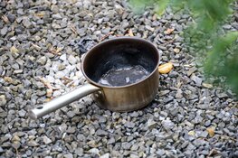 Hondje in woning vol rook in Laren