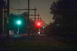 Hert aangereden op spoor in Naarden