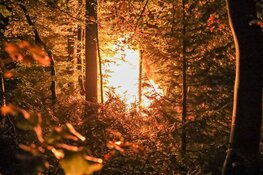 Caravan in brand in Naarden, vlammenzee in achtertuin