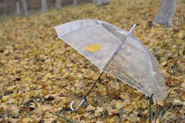 Maandag nog zonnig, daarna wisselvallig met lagere temperaturen