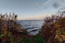 Baggeren Loosdrechtse Plassen van start
