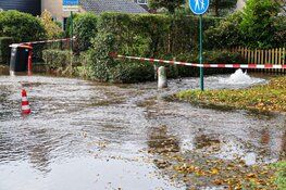 Waterballet in Blaricum na gesprongen waterleiding