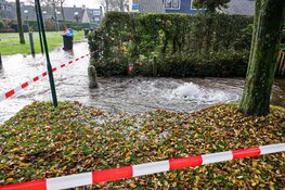 Waterballet in Blaricum na gesprongen waterleiding