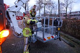 Kat gered uit boom in Huizen