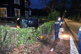 Bezorgauto rijdt tuin in en richt ravage aan