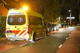 Bezorgauto rijdt tuin in en richt ravage aan