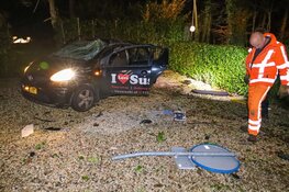 Bezorgauto rijdt tuin in en richt ravage aan