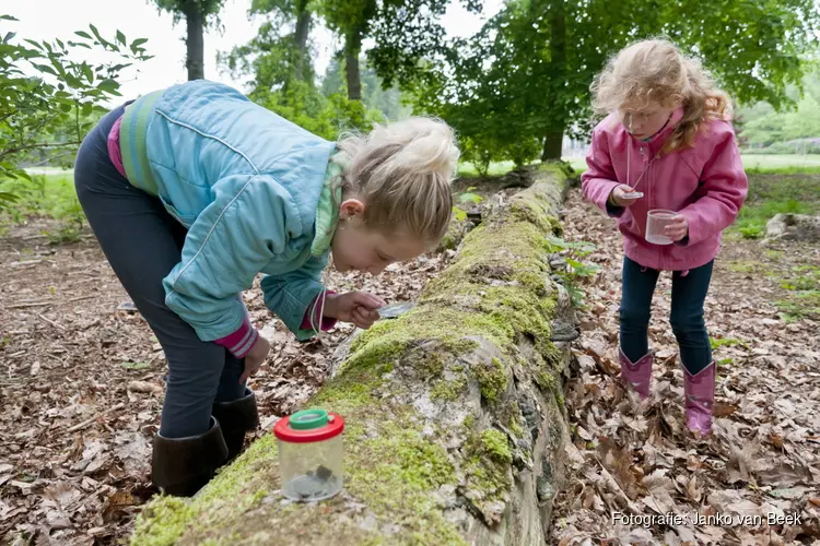 OERRR Spoorzoeken met de boswachter