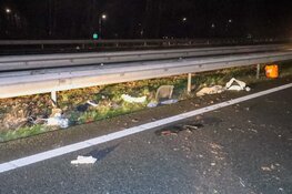 Auto gecrasht: drie inzittenden op de vlucht